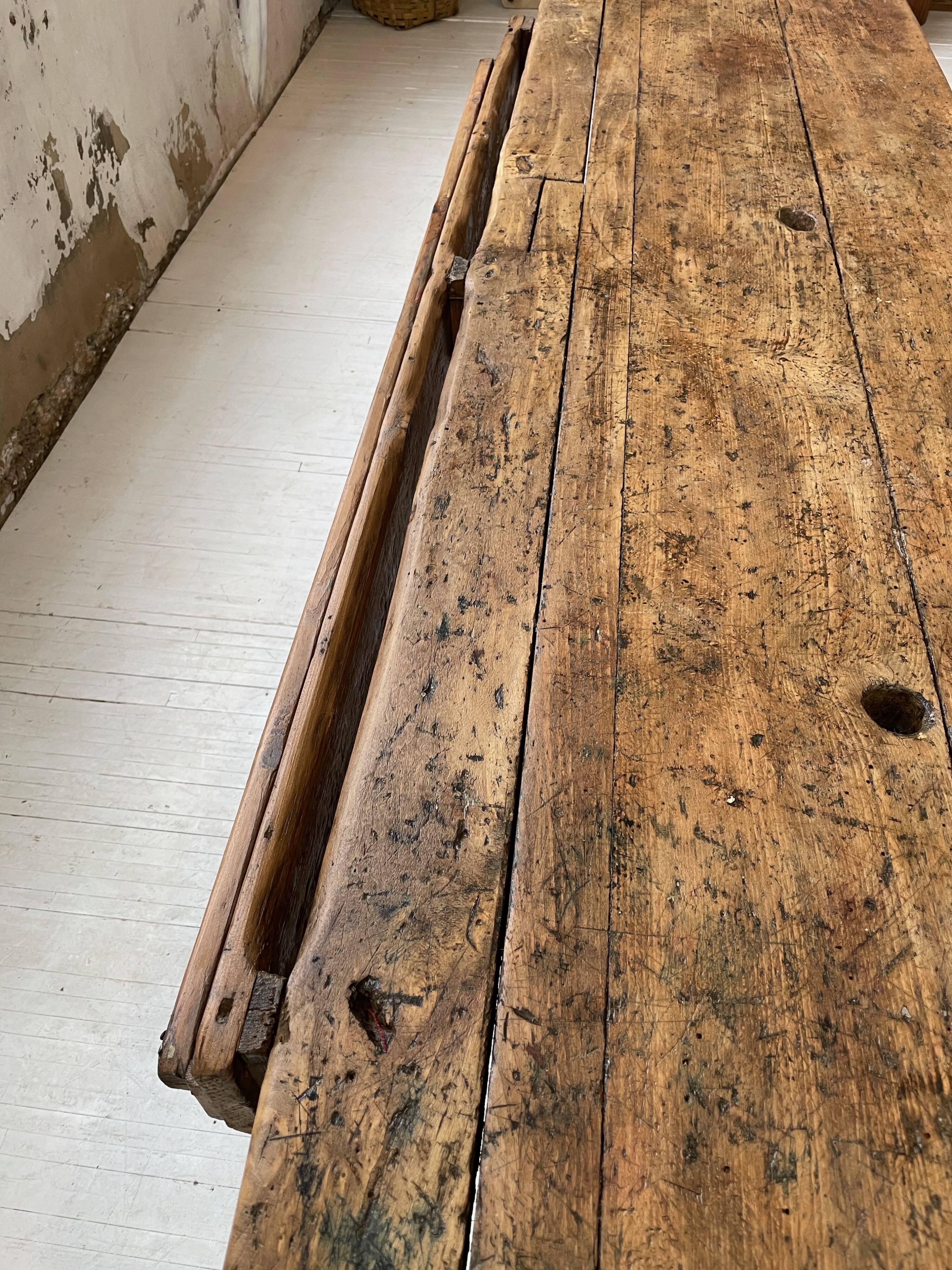 Established old oak XL