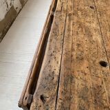 Established old oak XL