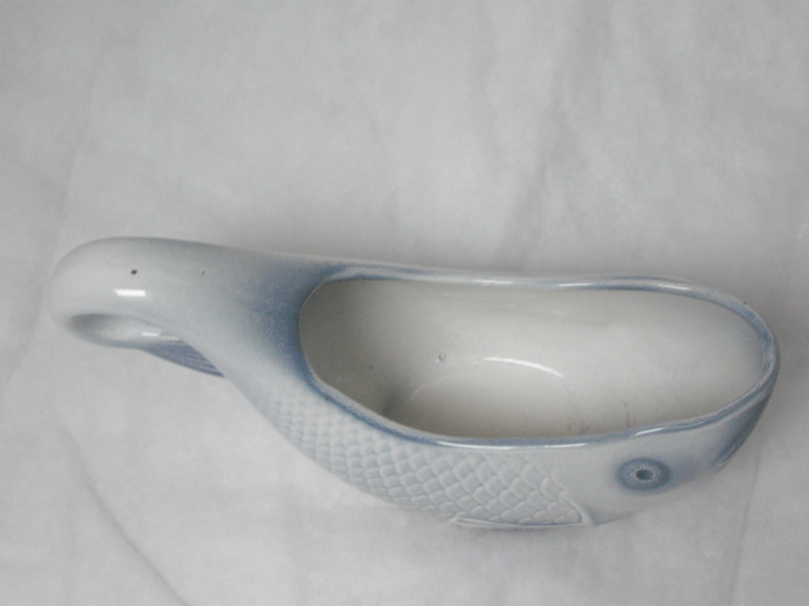 Sauce boat fish Salins-les-Bains