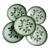 Rares assiettes Badonviller décor houx