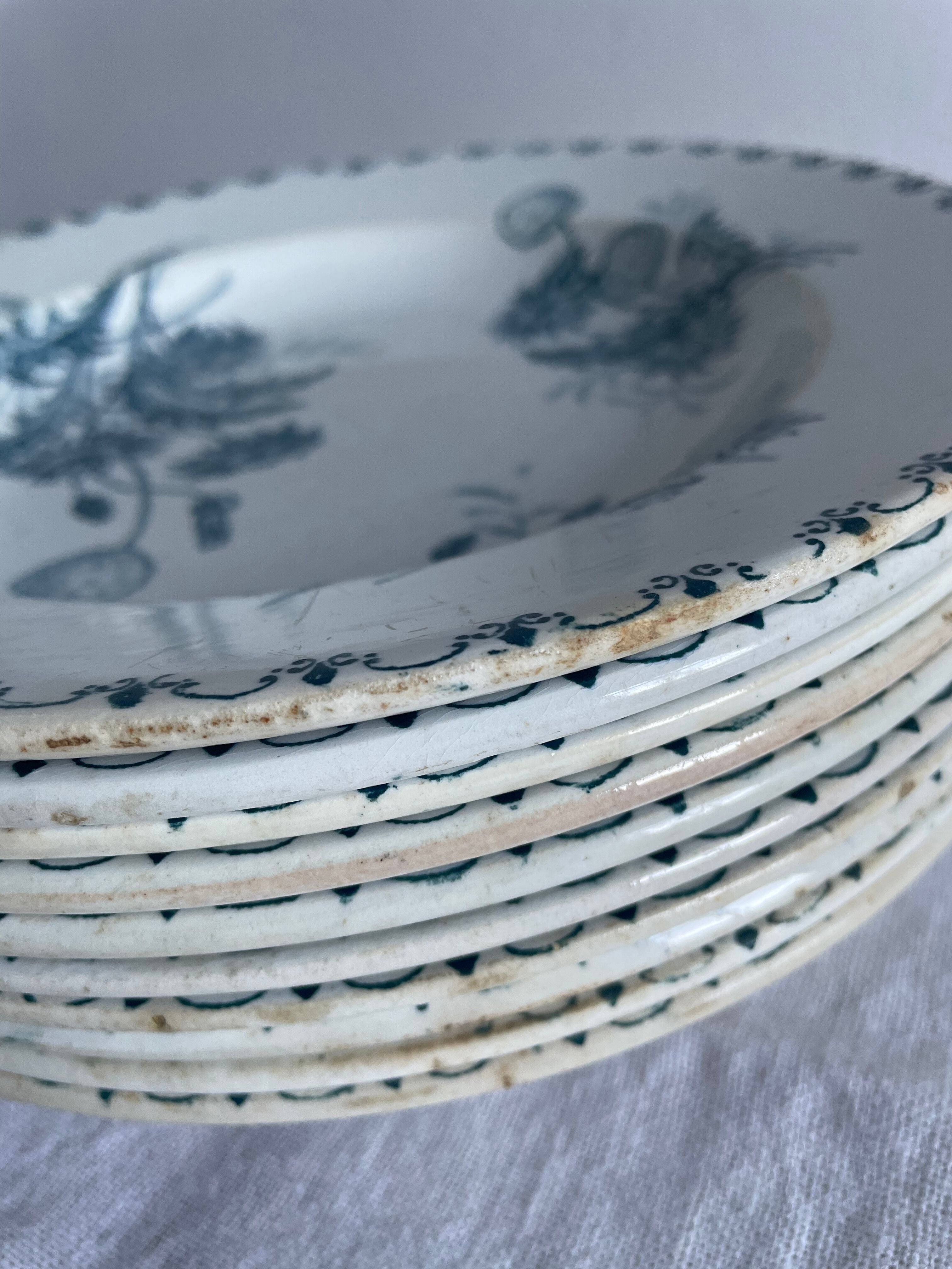 Set of 10 hollow plates Terre de Fer XIXth, model Madrid