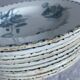 Set of 10 hollow plates Terre de Fer XIXth, model Madrid