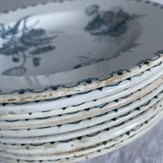 Set of 10 hollow plates Terre de Fer XIXth, model Madrid