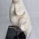 Old white coral "méandrine" on base in veined black marble, 25 cm