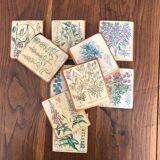 10 "herbarium" frames