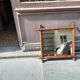 Miroir barbier