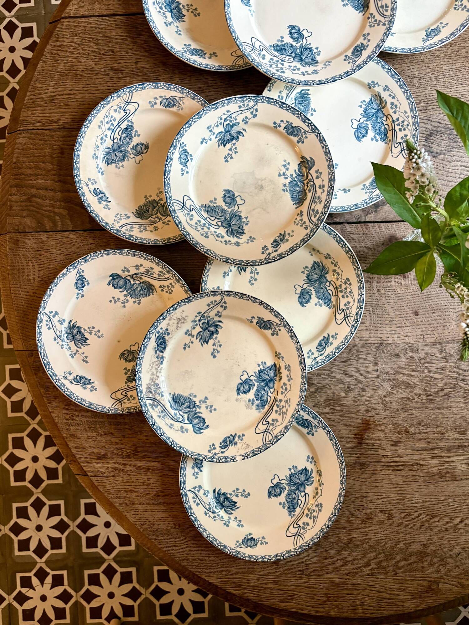 Set of 10 antique flat plates in ironstone, Royat from Sarreguemines.