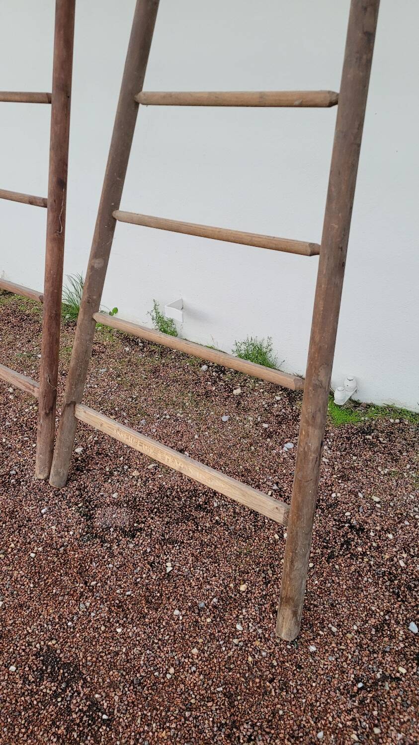 Double ladder for market gardening, fruit harvest, old wooden picking - 3m65