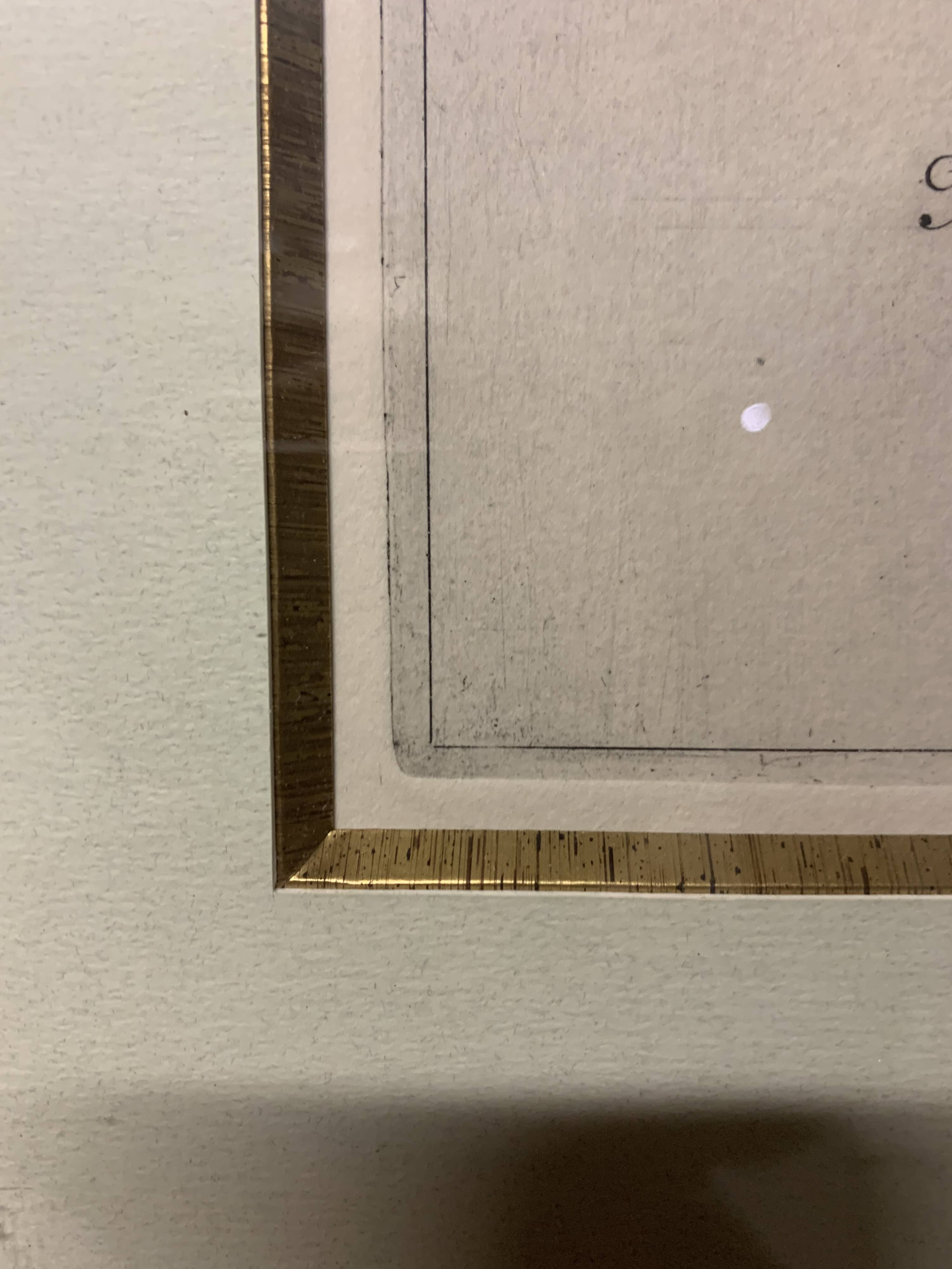 Lot of Paintings Botanical Engravings Old Vintage Herbariums