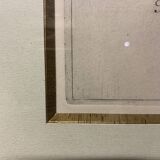 Lot of Paintings Botanical Engravings Old Vintage Herbariums