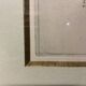 Lot of Paintings Botanical Engravings Old Vintage Herbariums