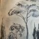 Charcoal painting signed “landscape of Provence” umbrella pines