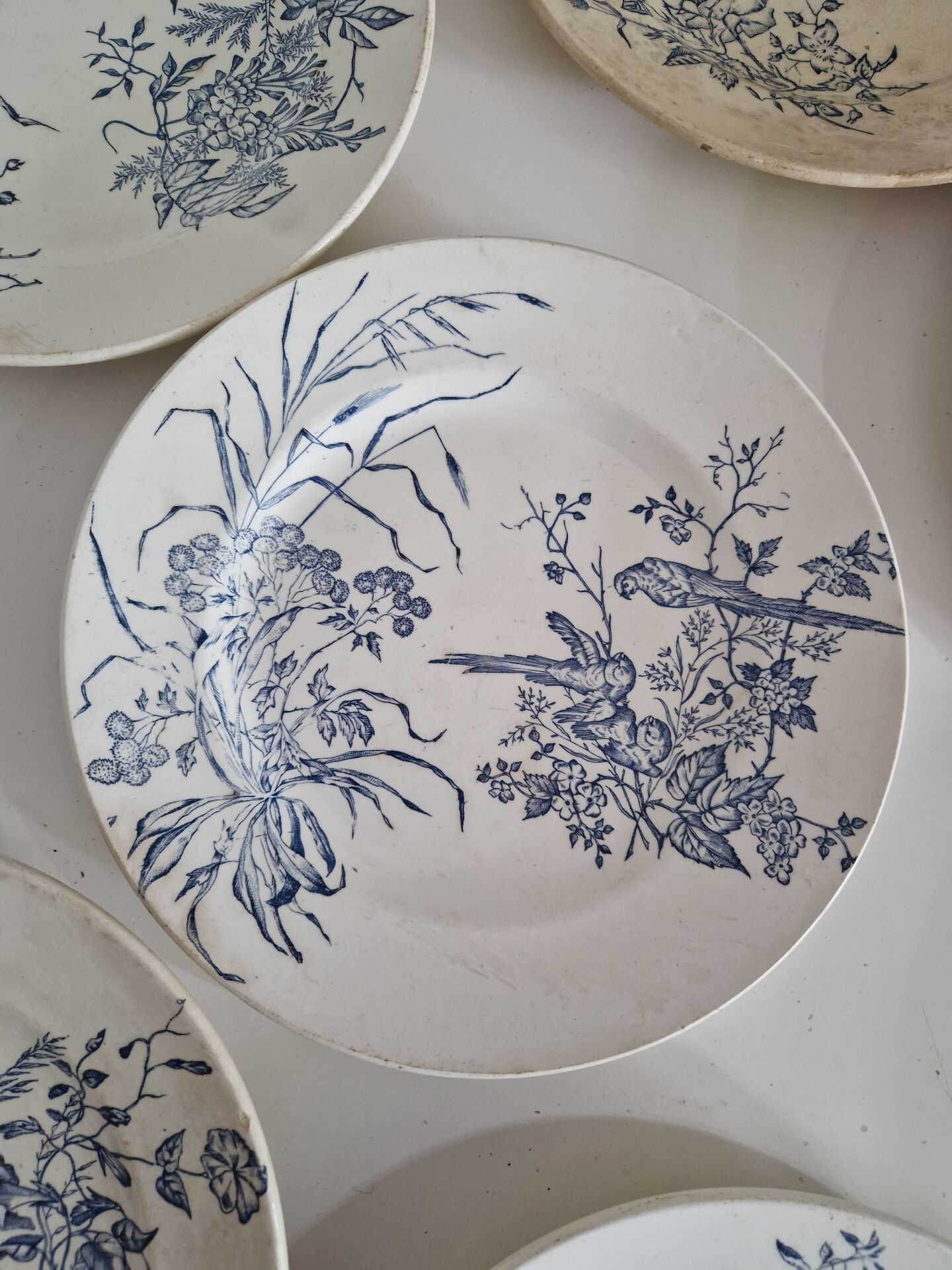 Lot De 9 Assiettes Plates Terre De Fer