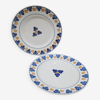 Pair of indigo and saffron flat plates