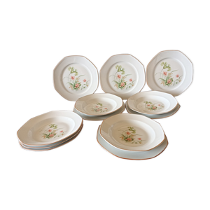 12 assiettes en porcelaine