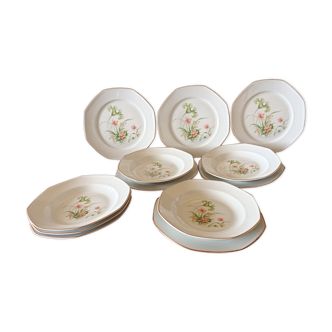 12 assiettes en porcelaine de Sologne nénuphars