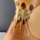 Bertoncello ceramic vase, Italy, 1960s