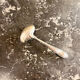 Silver metal ladle, Reneka Strasbourg