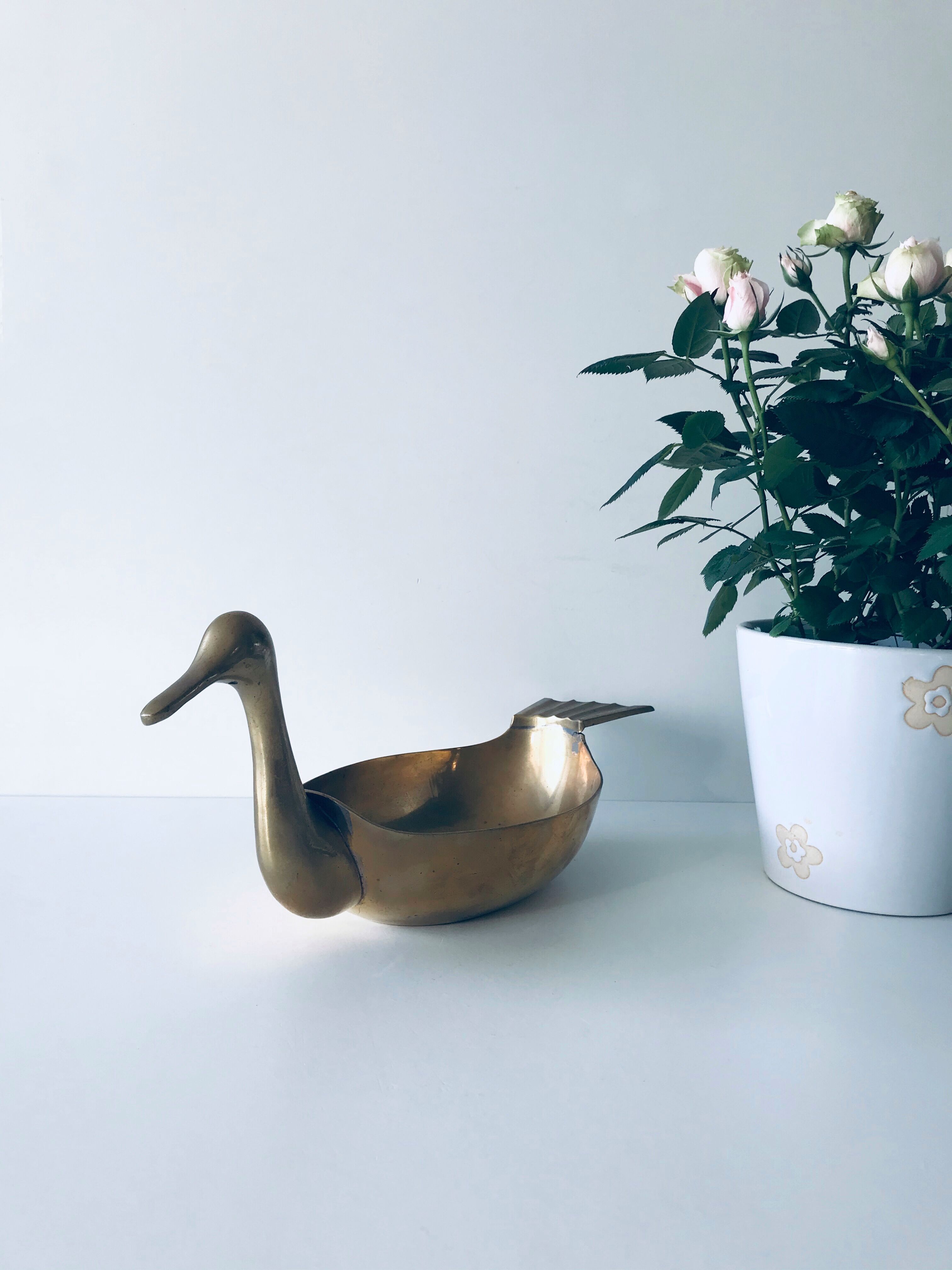 Empty brass duck empty pocket