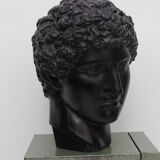 Greek head in waxed black plaster