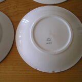 Set of 12 different flat plates