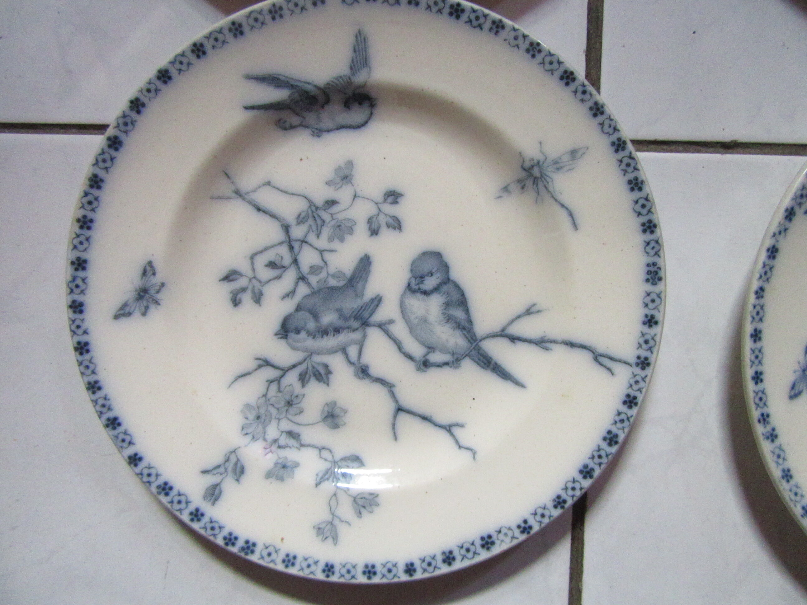 Plates earth fire batch of 6 birds vintage decorations