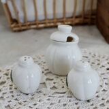 Vintage lemon barbotine condiment service
