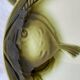 6 fish plates, earthenware from Moulin des Loups in Orchies