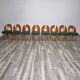 Dining Chairs by Antonin Suman, 1960s, Set of 8