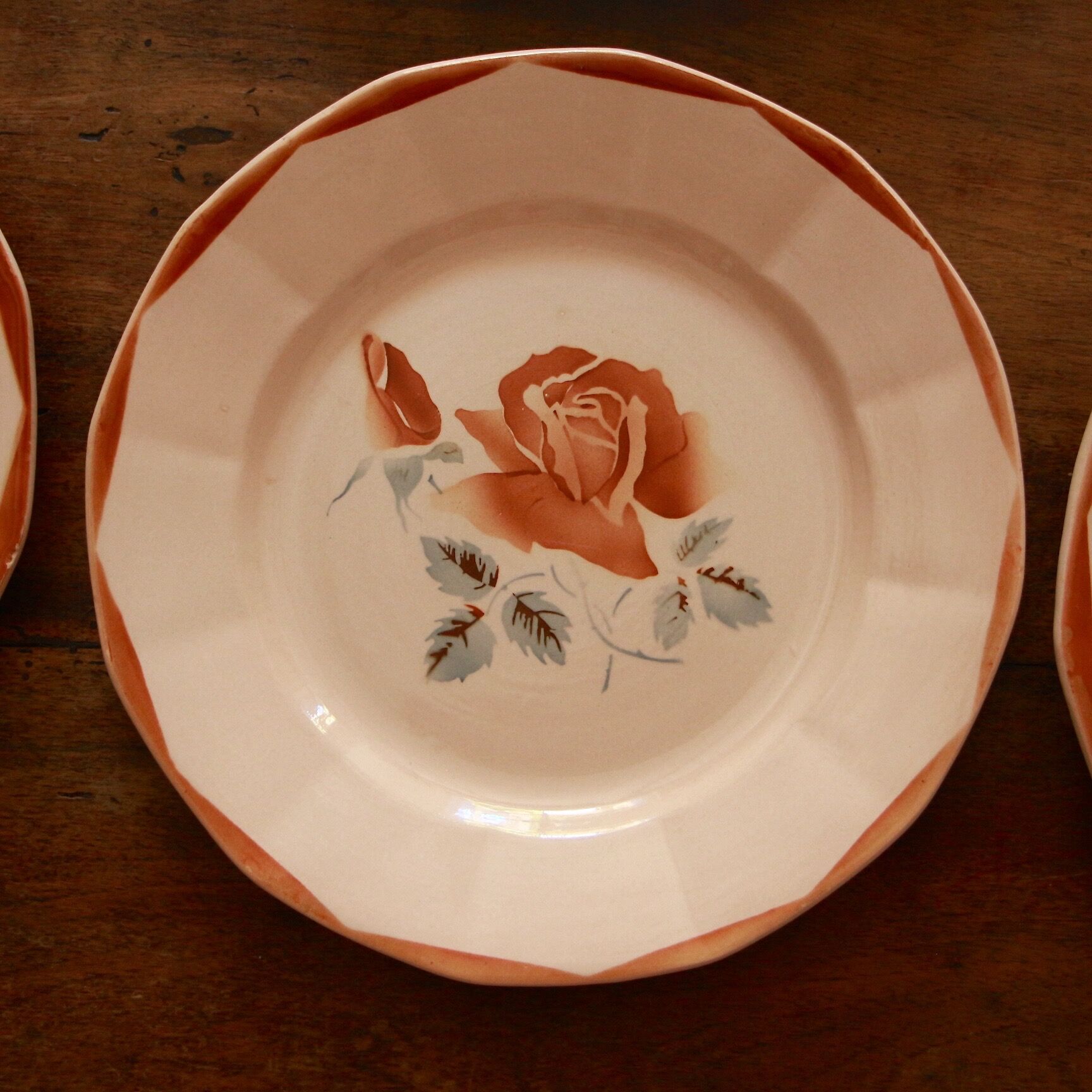 Assiettes plates DIgoin