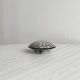 shell box in silver metal and worked glass