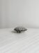 shell box in silver metal and worked glass