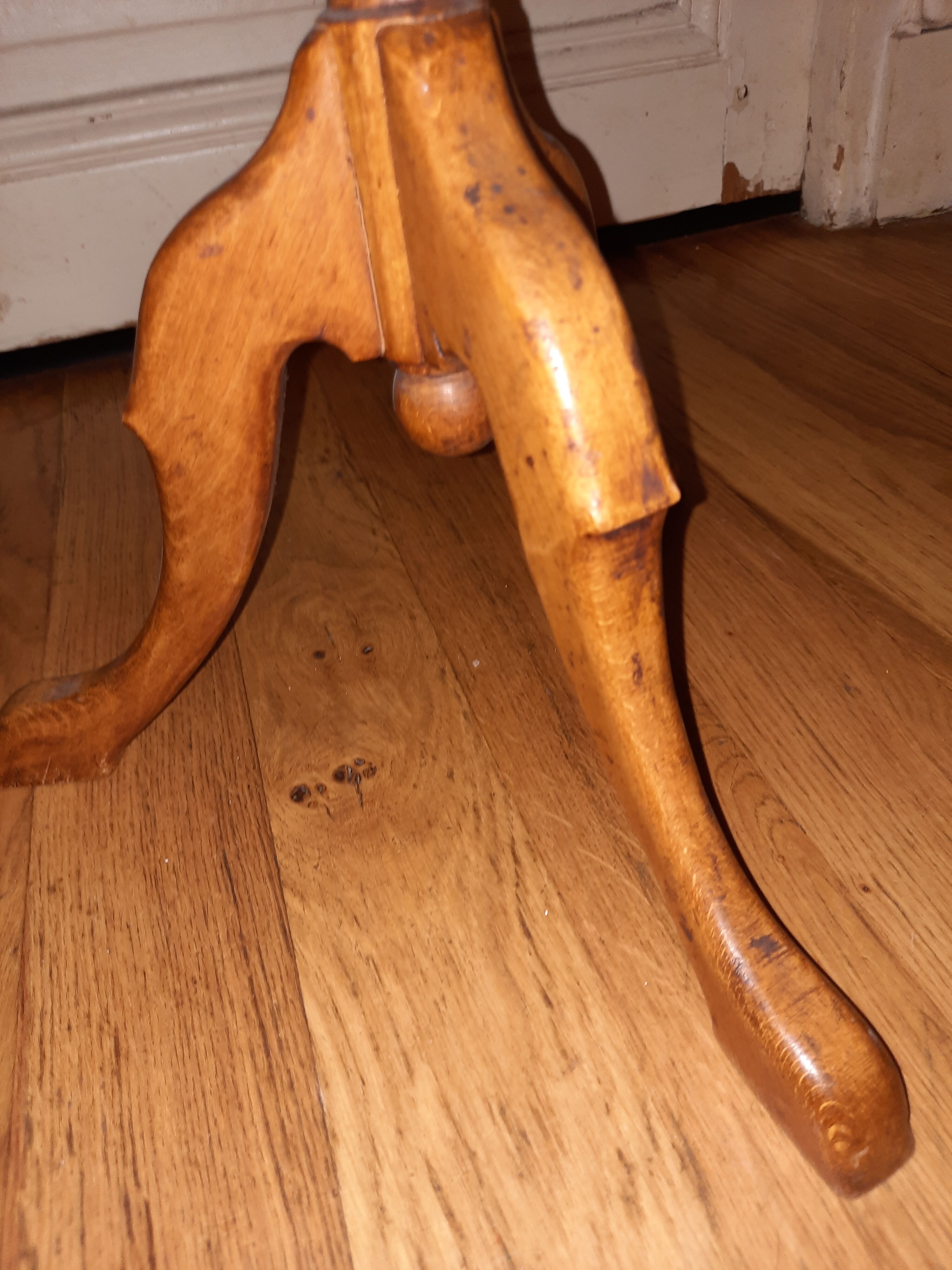 Little tripod guerid