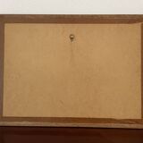 Vintage framed map of Guadeloupe