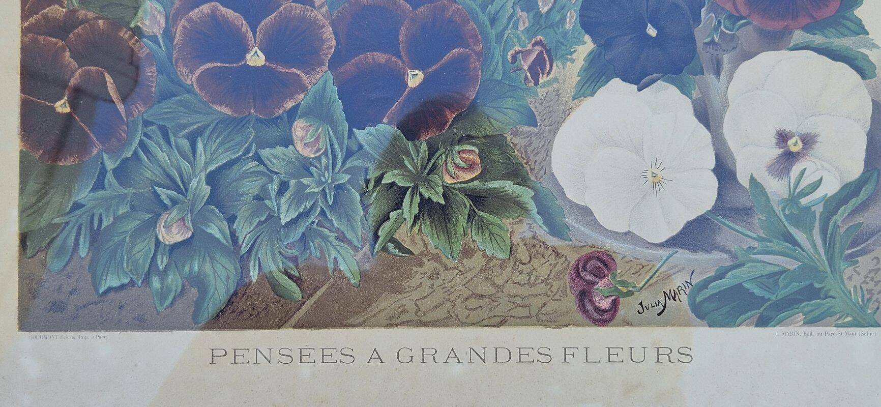 Julia Marin - Impression Thoughts on Large Flowers Around 1900