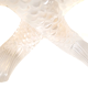 Vase poisson cristal de bayel cristallerie royal de champagne