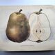 Antique botanical engraving from 1922 by A.Vasset • Duchess pear • fruit