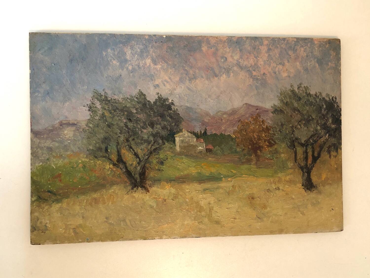 Oil painting of olive trees