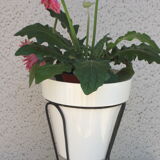 Support for plants duo 50s, 60s