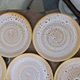 Set of 12 flat plates in stoneware Niderviller model Fauve from the 1960s.
