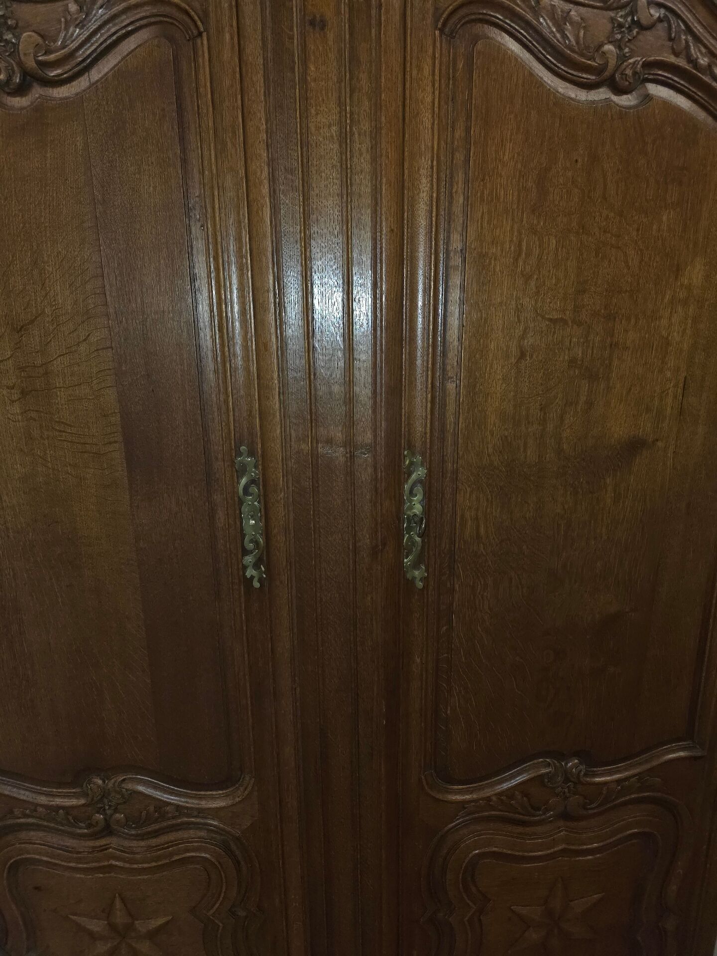 Antique oak doors in louis xv style