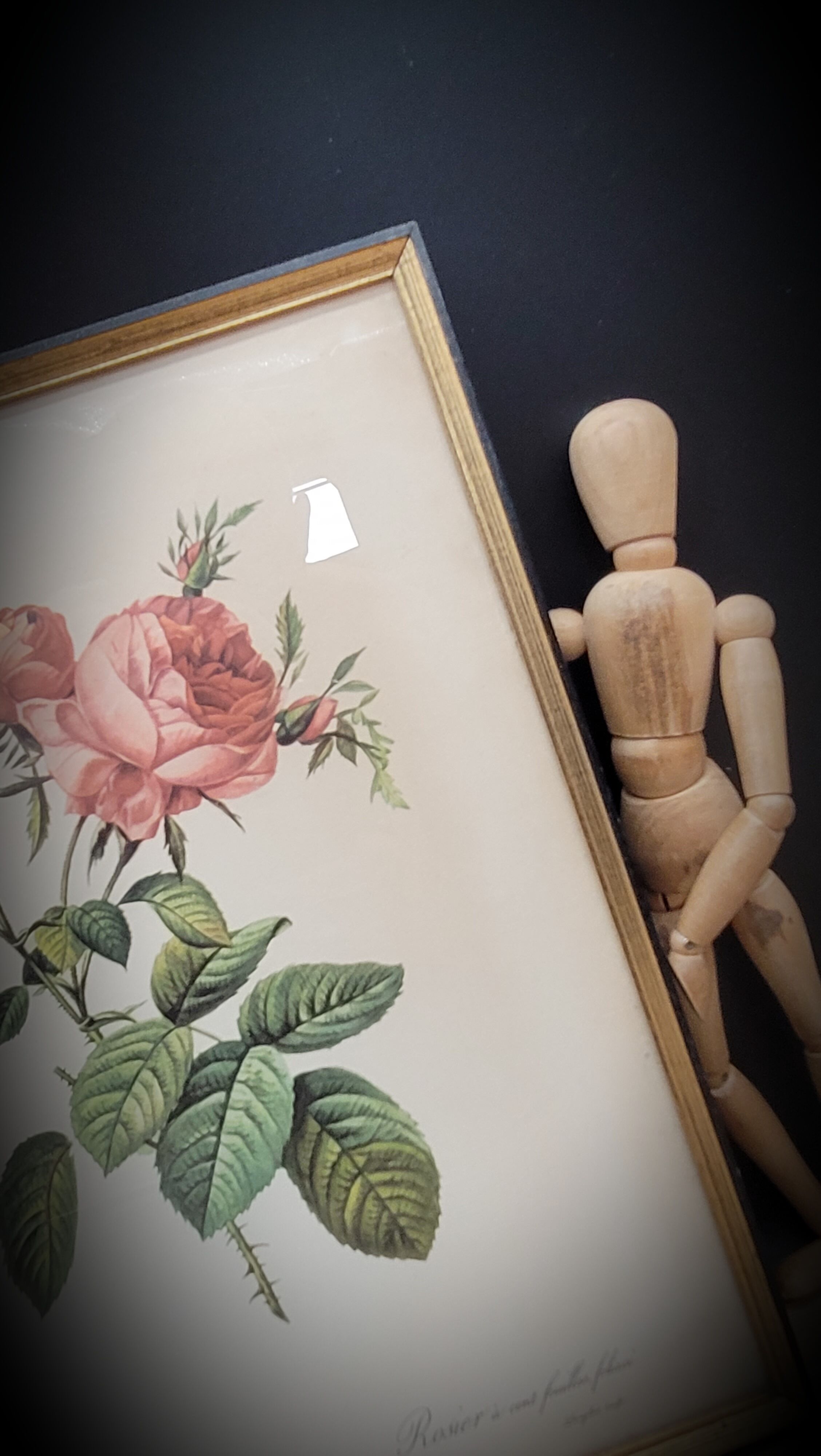 Litho Rose one hundred leafy leaves