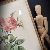 Litho Rose one hundred leafy leaves