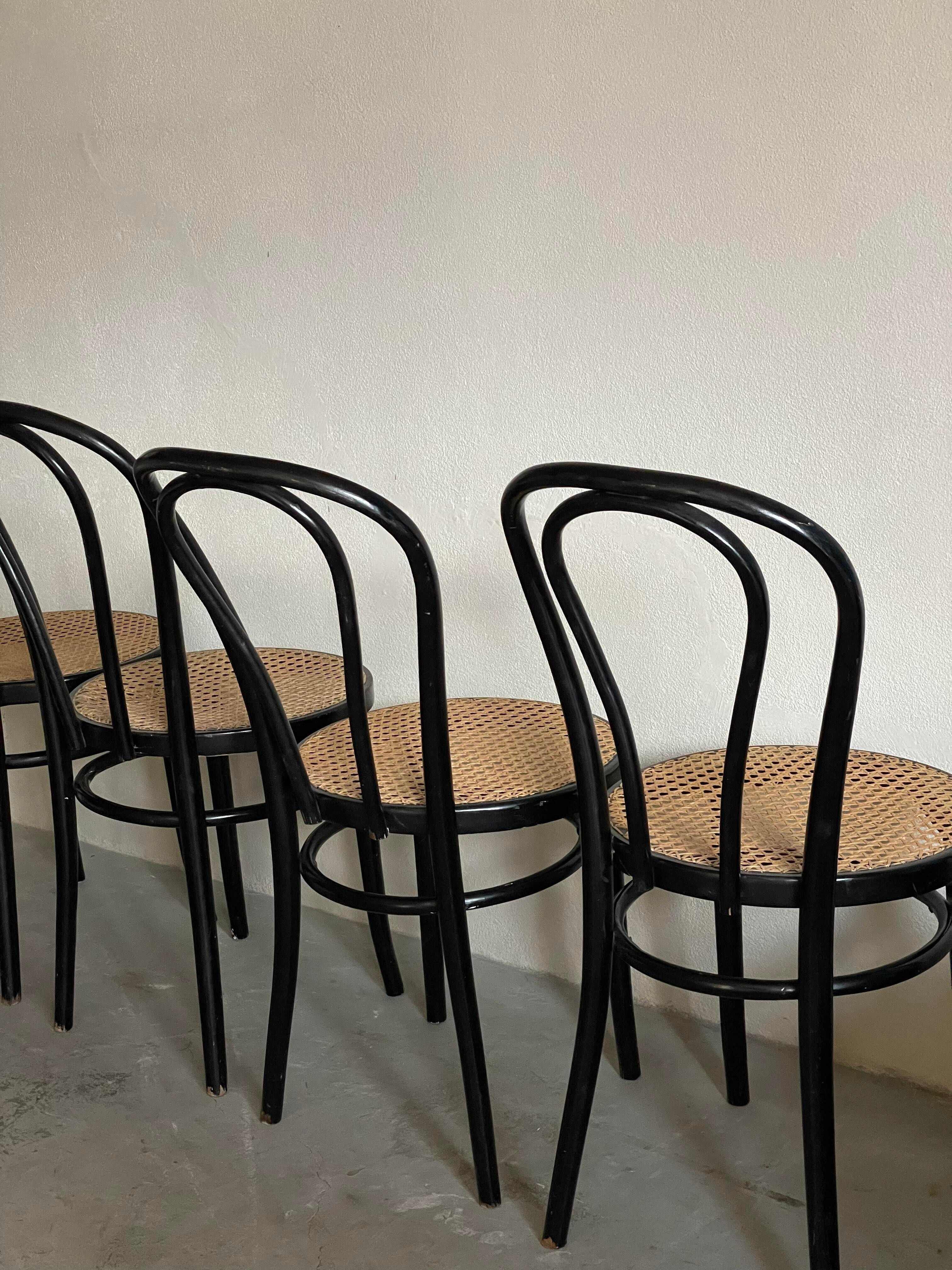 Thonet chairs n°18