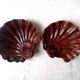 Shell cuts in roccoco earthenware