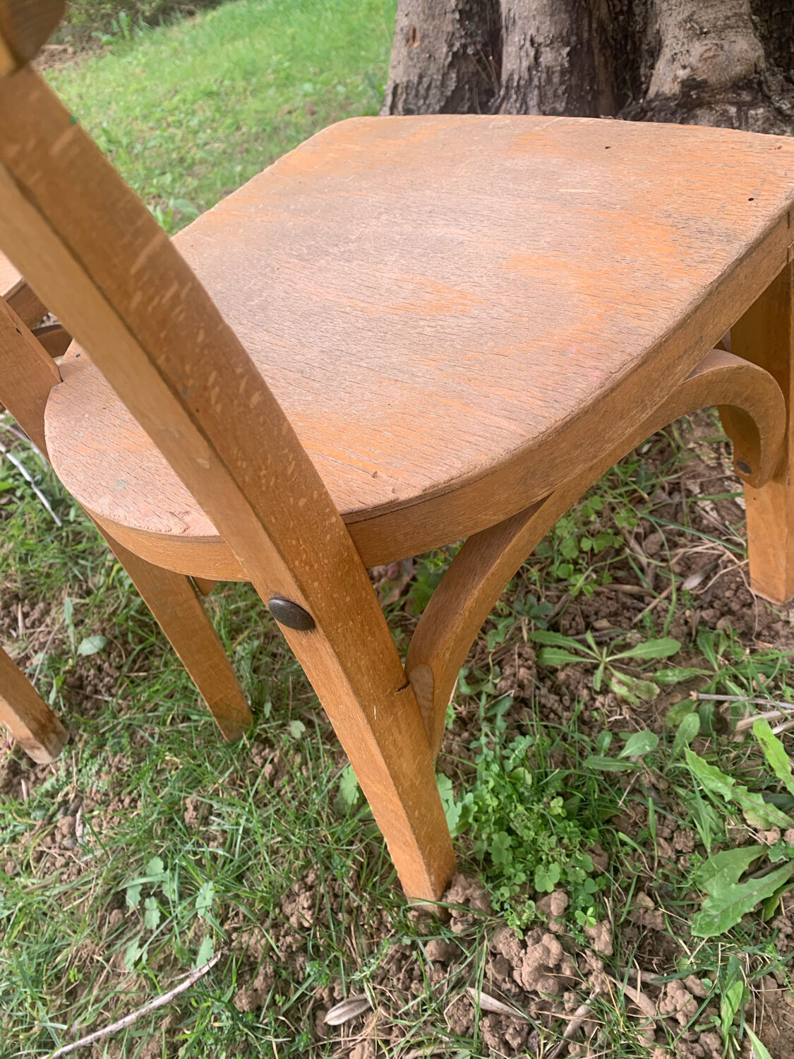 Stella school chairs