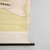 Affiche allemande de biologie marine par Volk Und Wissen Volkseigener Verlag