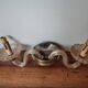 Old vintage wall lamp, brass glass and fake candle mirror