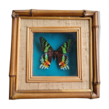 Vintage rattan framed butterfly