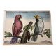 Zoological school poster representing a cockatoo and a macaw